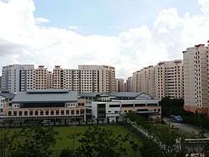 Nan Chiau High Arial View 2015