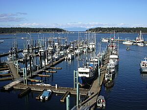 Nanaimo Waterfront