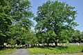 NorthfieldMA CenterCemetery 01