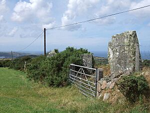 Parc y Meirw megalithic alignment - geograph.org.uk - 211769