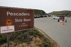 Pescadero beach