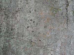 Pictografia piedra del diablo cumaca