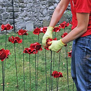 Poppy Planting (14845374937)