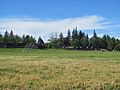 Portland, Oregon (July 2022) - 190