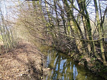 Riviere Woluwe 2006-03-18