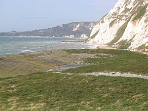 Samphire Hoe looking west - geograph.org.uk - 506227