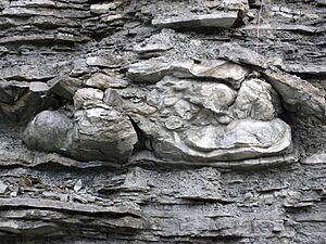 Seismite Ordovician Kentucky Close