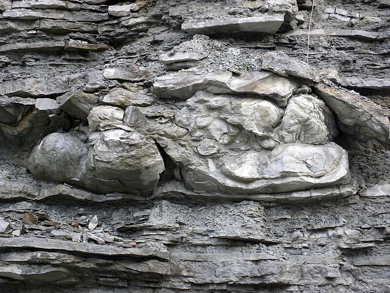 Seismite Ordovician Kentucky Close