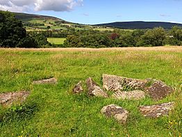 Site of Navio Roman Fort at Brough in July 2020