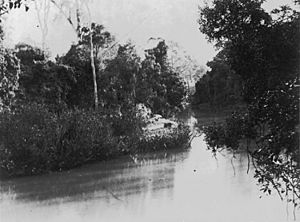 StateLibQld 1 91224 Moggill Creek, Brookfield, 1890