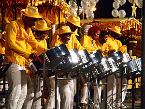 Steelpan Instruments at Trinidad and Tobago Carnival