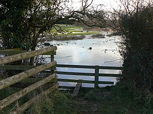 Stile into water. - geograph.org.uk - 1136395.jpg