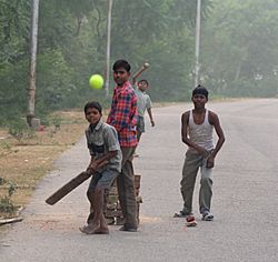 Street Cricket, Uttar Pradesh, India