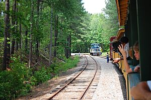 Switchover on the New Hope Valley Railroad - June 2010.jpg