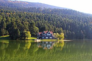 TABİATIN KALBİ BOLU GÖLCÜK TABİAT PARKI