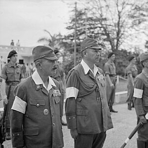 The British Reoccupation of Malaya SE6803