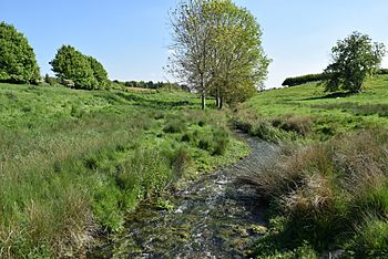 The North Brook downstream of the Lower Lake at at Exton Hall.jpg