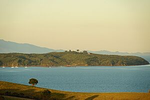 Tiritiri Matangi Island Shakespear