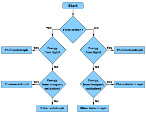 Troph flowchart