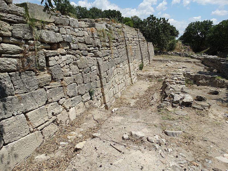 Troya 6