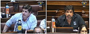 Uruguayan senate