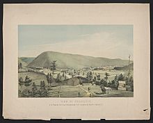 View of Shamokin, in the Shamokin coal basin, Northumberland Co. Pa. Located on the Philada. & Sunbury R.R. LCCN2015647835