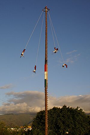 Voladores 3