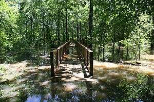 White River Boardwalk Trail (5781633755)
