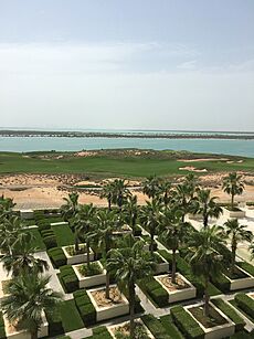 Yas Island View