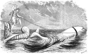 1862 whale Aquarial and ZoologicalGardens Boston Ballous