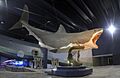 2016 megalodon
