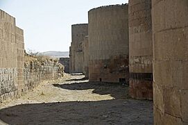 Ani Walls Between inner and outer wall 5475