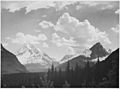 Ansel Adams - National Archives 79-AA-E09