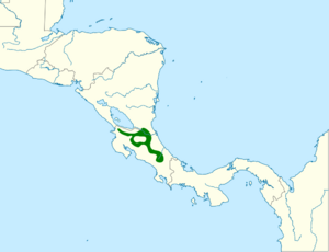 Aphanotriccus capitalis map.svg