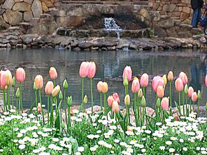 Araluen IMG 0251