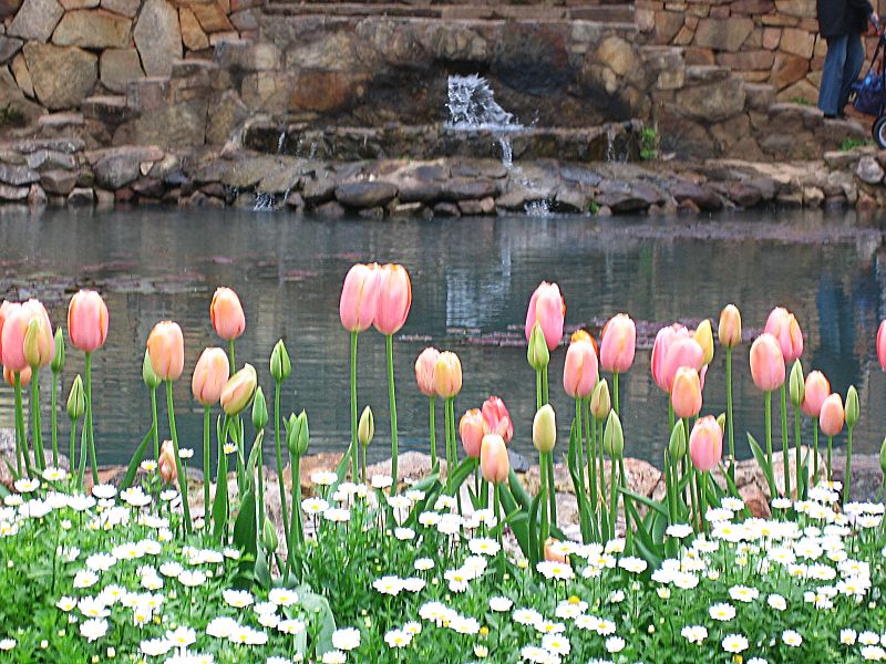 Araluen IMG 0251