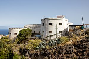At Santa Cruz de Tenerife 2021 073.jpg