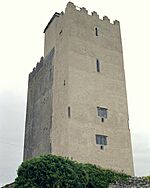 Ballyportry Tower House.jpg