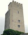 Ballyportry Tower House