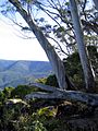 Barrington lookout