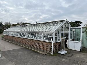 Bonsai House Kew Gardens