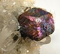 Bornite-Chalcopyrite-Pyrite-180794