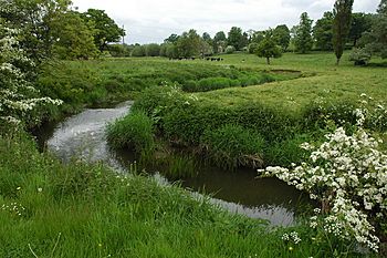 Bow Brook near Froxmere Court - geograph.org.uk - 808213.jpg