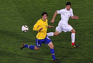 Brazil & Chile match at World Cup 2010-06-28 6