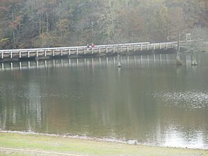 Bridge across Broken Bow Lake, OK IMG 8527