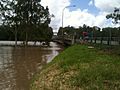 Brisbane River in flood