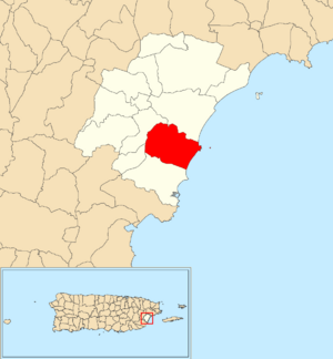 Location of Buena Vista within the municipality of Humacao shown in red