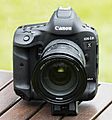 Canon EOS-1D X Mark II (01)