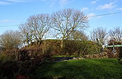 Carleton Motte from Little Carleton Farm, Lendalfoot, South Ayrshire