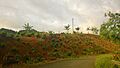 Carretera PR-431, Lares, Puerto Rico (2)